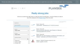 
                            6. Open positions | Plansee