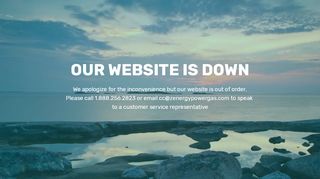 
                            7. our website is down
