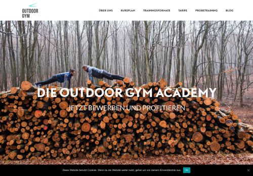 
                            9. Outdoor Gym Academy - Outdoor Gym