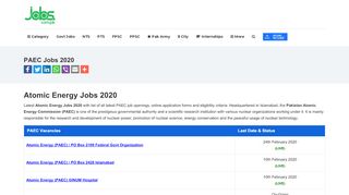 
                            13. PAEC Jobs 2019 - Jobs.com.pk