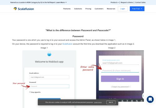 
                            4. Password and Passcode - MobiLock