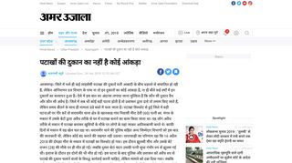 
                            9. पटाखों की दुकान का नहीं है कोई आंकड़ा - Amar Ujala ...