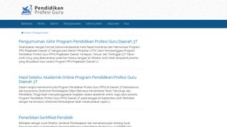 
                            3. Pengumuman - Program Pendidikan Profesi Guru - PPG Ristekdikti