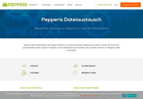 
                            4. Pepperi Dateiaustausch | Integration zu Ihrem Backoffice