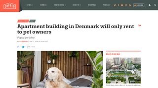 
                            13. Pet owners only apartment building planned for Denmark - Curbed