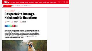 
                            10. Petpointer: Das GPS-Halsband für Ihr Haustier - Blick