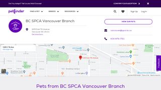 
                            12. Pets for Adoption at BC SPCA Vancouver Branch, in Vancouver, BC ...