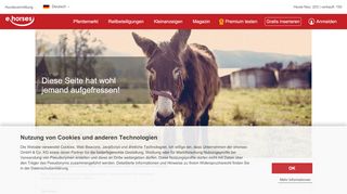 
                            13. Pferde Erfolgsdaten aller top Tiere | Pferdemarkt ehorses.de