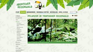 
                            8. Pflanzen im Regenwald - Abenteuer Regenwald