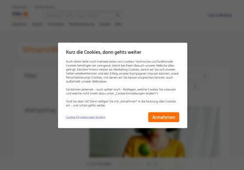 
                            3. Phishing Mails - ING-DiBa Wissenswert