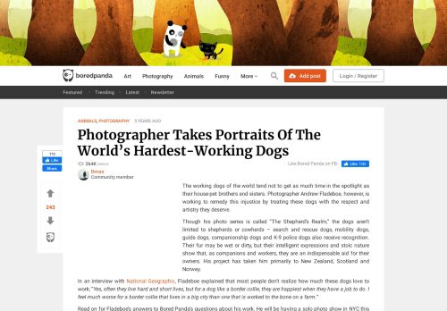 
                            12. Photographer Takes Portraits Of The World's Hardest-Working Dogs ...