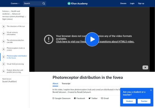 
                            12. Photoreceptor distribution in the fovea (video) | Khan Academy