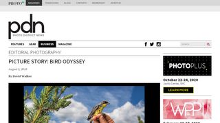
                            6. Picture Story: Bird Odyssey | PDN Online