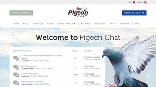 
                            6. PIGEON CHAT - Index page