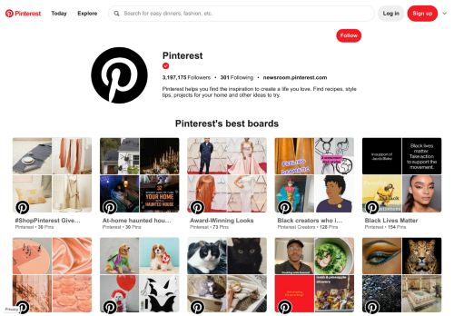 
                            6. Pins - Pinterest