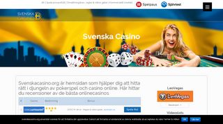 
                            7. PlayMillion Casino - Svenska Casino | January 2019