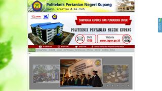 
                            7. Politeknik Pertanian Negeri Kupang