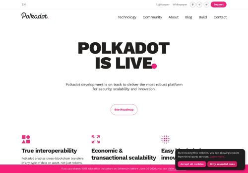 
                            6. Polkadot