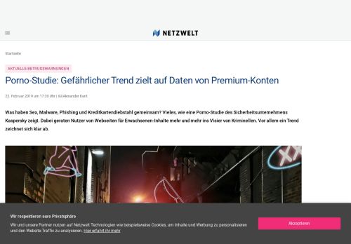 
                            12. Porno-Studie: Gefährlicher Trend zielt auf Daten von Premium-Konten ...