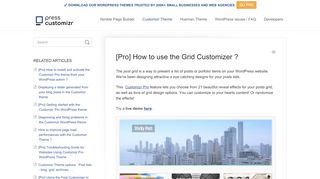 
                            9. [Pro] How to use the Grid Customizer - Press Customizr Documentation