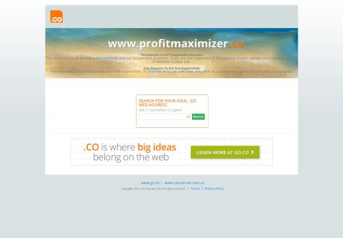 
                            11. ProfitMaximizer.co