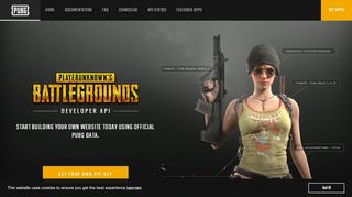 
                            6. PUBG Developer Portal