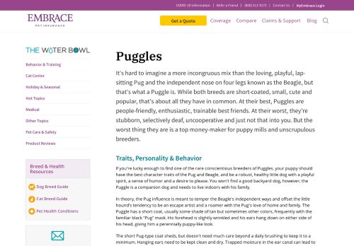 
                            11. Puggle | Embrace Breed Library - Embrace Pet Insurance