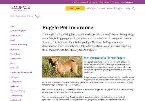 
                            12. Puggle Health Insurance | Embrace - Embrace Pet Insurance