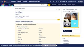 
                            13. PUSHER | meaning in the Cambridge English Dictionary