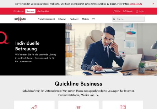 
                            10. Quickline Business - Business