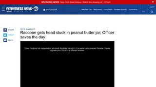 
                            6. Raccoon gets head stuck in peanut butter jar; Officer ... - ABC7NY.com