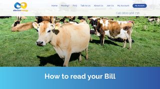 
                            2. Reading your Bill - Electra Energy