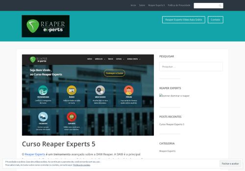 
                            13. Reaper Experts 5 – Curso REAPER 5 – Vídeo Aula Grátis! – O Reaper ...