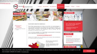 
                            7. Recrutement Animation Commerciale | MGS Sales and Marketing