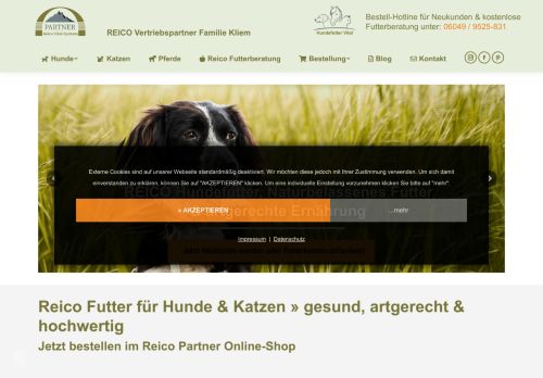 
                            6. Reico Hundefutter - gesunde und artgerechte Tiernahrung