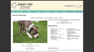 
                            8. Renner's Web Page - Diamond in the Ruff Pet Rescue