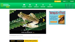 
                            5. Reticulated Glass Frog Animal Profile - National Geographic Kids