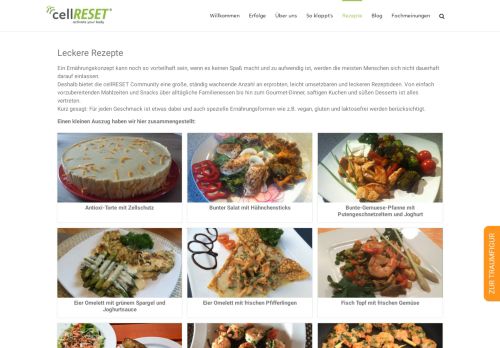 
                            2. Rezepte – cellreset