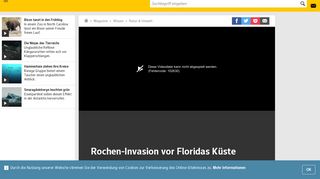 
                            8. Rochen-Invasion vor Floridas Küste | WEB.DE