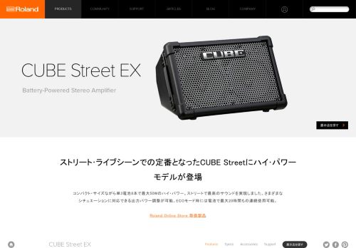 
                            13. Roland - CUBE Street EX | Battery-Powered Stereo Amplifier