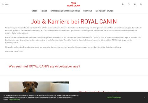 
                            9. ROYAL CANIN: Karriere