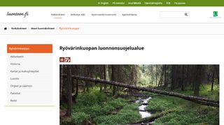 
                            10. Ryövärinkuopan luonnonsuojelualue - Luontoon.fi