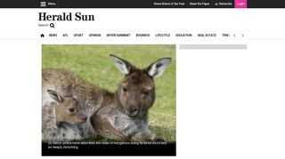 
                            13. Sadistic cases of animal cruelty deserve jail time | Herald Sun