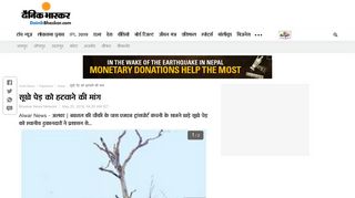 
                            10. सूखे पेड़ को हटवाने की मांग - Dainik Bhaskar