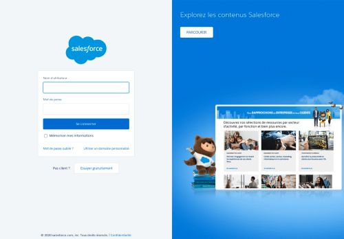 
                            9. Salesforce: Connexion
