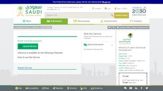 
                            7. Saudi - National Portal - Log in and access to external party