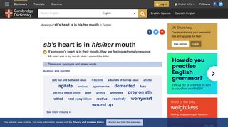 
                            11. SB'S HEART IS IN HIS/HER MOUTH | meaning in the Cambridge ...