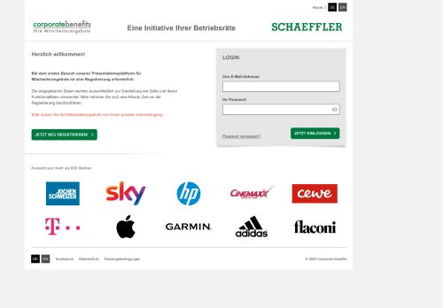 
                            12. Schaeffler