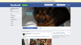 
                            2. Schäferhunde in Not Öffentliche Gruppe | Facebook