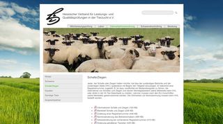 
                            4. Schafe/Ziegen - HVL Alsfeld